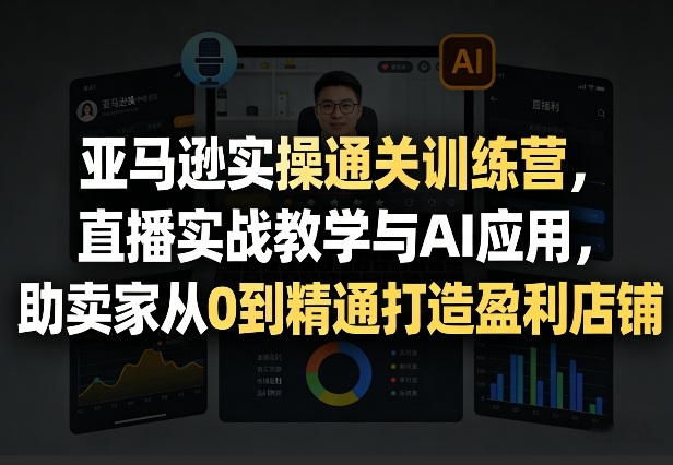 亚马逊实操通关训练营，直播实战教学与AI应用，助卖家从0到精通打造盈利店铺（更新3月）-智云网