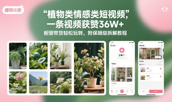 植物类情感类短视频,一条视频获赞36W+,橱窗带货轻松玩转,附保姆级拆解教程-智云网