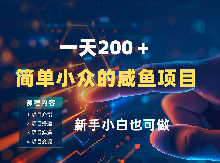 一天收入2张，一个简单小众的咸鱼项目，0门槛小白也能做-智云网