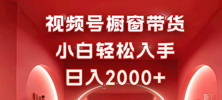 视频号橱窗带货，小白轻松入手，日入2000+-智云网