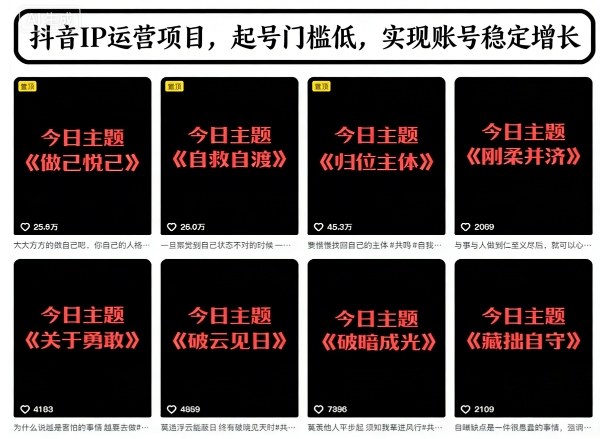 抖音IP运营项目，抖音今日主题玩法，起号门槛低，实现账号稳定增长-智云网