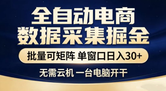 独家电商数据全自动采集项目,批量可矩阵,单窗口轻松日入3张+【揭秘】-智云网