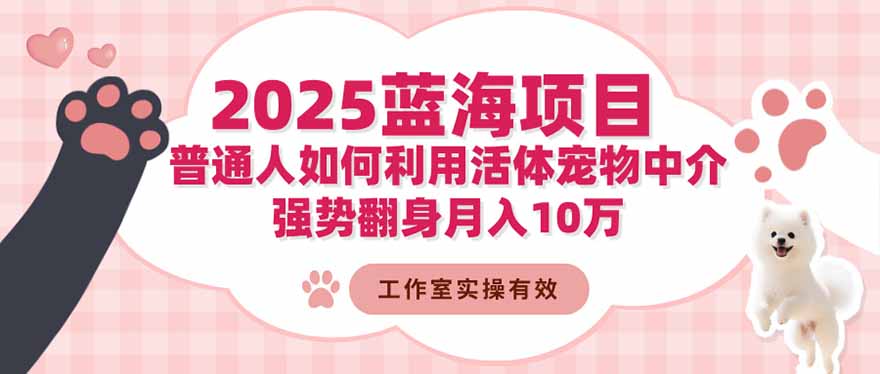 2025蓝海项目:普通人如何利用活体宠物中介,强势翻身月入10万-智云网